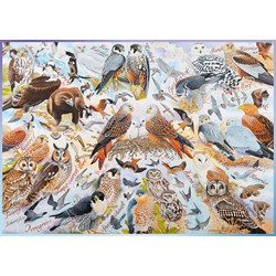 Ravensburger (19559) - "Birds of Prey" - 1000 pièces