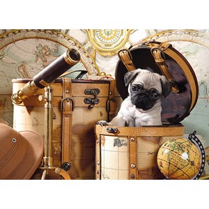 Tactic (53862) - "Pets Pug Puppy" - 1000 pièces