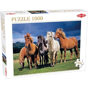 Tactic (53929) - "Camargue Horses" - 1000 pièces