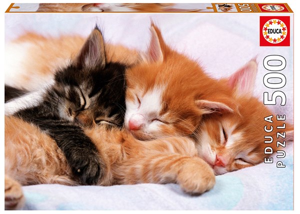 Educa (17087) - "Chatons" - 500 pièces