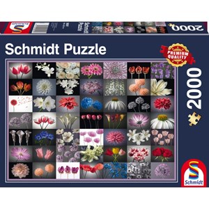Schmidt Spiele (58297) - "Collage Fleurs" - 2000 pièces