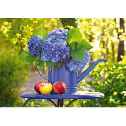 Schmidt Spiele (58283) - "Watering Can with Hydrangea" - 500 pièces