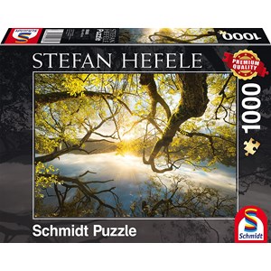 Schmidt Spiele (59383) - Stefan Hefele: "Embrassade en Or" - 1000 pièces