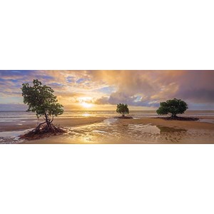 Schmidt Spiele (59394) - Mark Gray: "Cape Tribulation, Daintree national Park, Queensland, Australia" - 1000 pièces