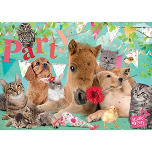 Jumbo (19351) - "Happy Birthday" - 500 pièces