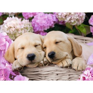 Ravensburger (13235) - "Chiots Mignons dans un Panier" - 300 pièces