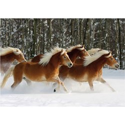 D-Toys (65933-HH04) - "Cheval Haflinger" - 239 pièces