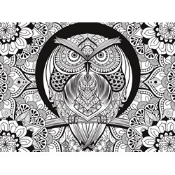 Clementoni (35050) - "Hibou" - 500 pièces