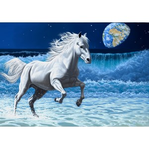 Grafika (02582) - Schim Schimmel: "Wave Runner" - 1000 pièces