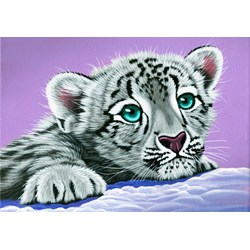 Grafika (02587) - Schim Schimmel: "Sambuca's Friend" - 1000 pièces