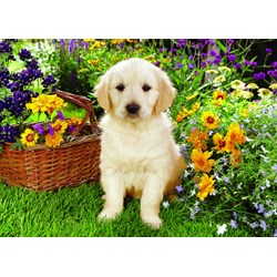 Trefl (371604) - Greg Cuddiford: "Labrador Puppy in the Garden" - 500 pièces