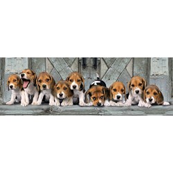 Clementoni (39435) - "Beagles" - 1000 pièces