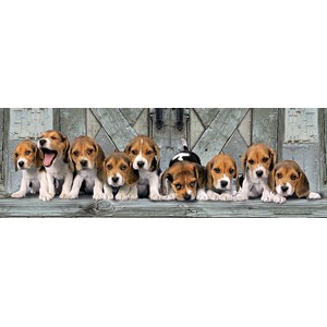 Clementoni (39435) - "Beagles" - 1000 pièces