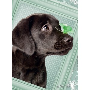 Ravensburger (14194) - "Lucky Puppy" - 500 pièces