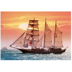 Castorland (C-100392) - "Sailing ship in the sunset" - 1000 pièces