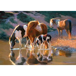 Castorland (B-52097) - "Chevaux dans au rivière" - 500 pièces