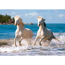 Castorland (C-102433) - "White Camargue Horses" - 1000 pièces