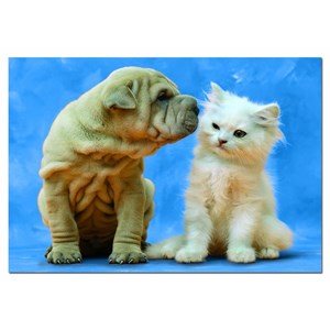 Educa (14806) - "Secrets" - 500 pièces