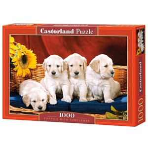 Castorland (C-101771) - "Puppies with Sunflower" - 1000 pièces