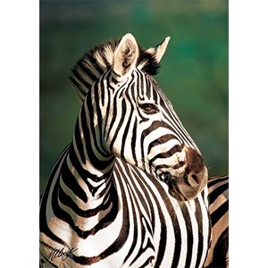 Trefl (10504) - "Zebra" - 1000 pièces