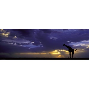 Heye (29471) - Alexander von Humboldt: "Sunset" - 1000 pièces