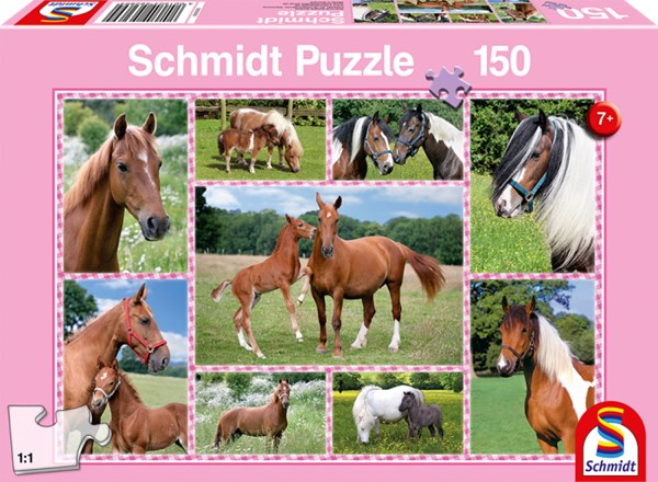 Schmidt Spiele (56269) - "Rêves de Cheval" - 150 pièces