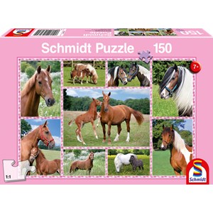 Schmidt Spiele (56269) - "Rêves de Cheval" - 150 pièces