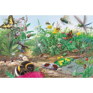 Schmidt Spiele (56293) - "Discover the World of Insects" - 200 pièces