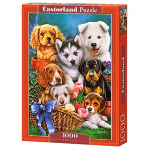 Castorland (C-104048) - "Puppies" - 1000 pièces