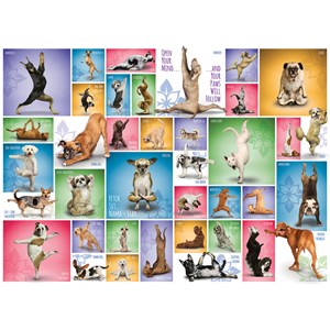 Eurographics (6000-0954) - "Yoga Dogs" - 1000 pièces