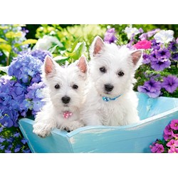 Castorland (B-222032) - "Westie Puppies" - 200 pièces