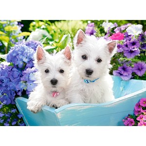 Castorland (B-222032) - "Westie Puppies" - 200 pièces