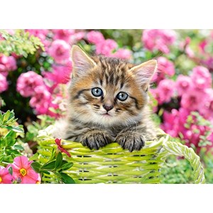 Castorland (B-111039) - "Kitten in Flower Garden" - 100 pièces
