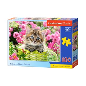 Castorland (B-111039) - "Kitten in Flower Garden" - 100 pièces