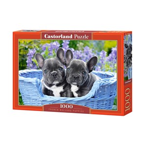 Castorland (C-104246) - "French Bulldog Puppies" - 1000 pièces