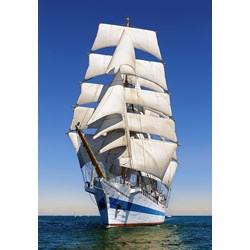 Castorland (C-104239) - "Under Full Sail" - 1000 pièces