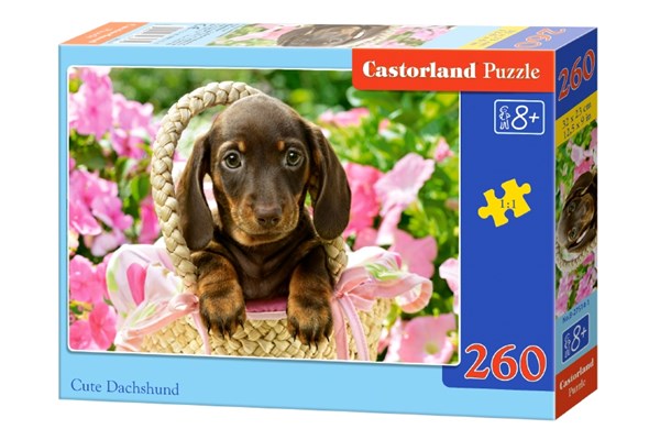 Castorland (B-27514) - "Cute Dachshund" - 260 pièces