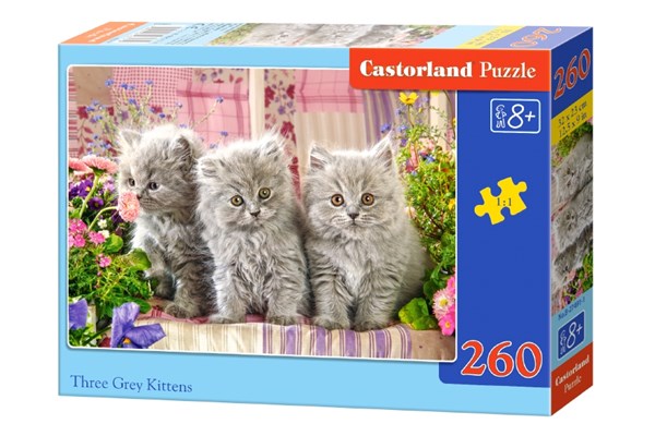 Castorland (B-27491) - "Three Grey Kittens" - 260 pièces
