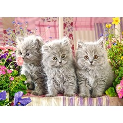 Castorland (B-27491) - "Three Grey Kittens" - 260 pièces