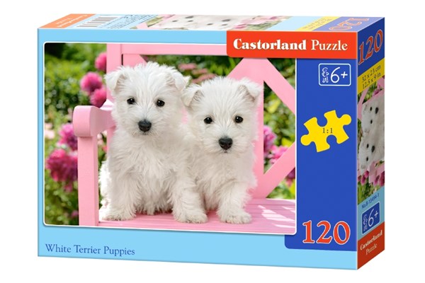 Castorland (B-13494) - "White Terrier Puppies" - 120 pièces