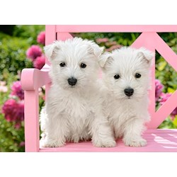 Castorland (B-13494) - "White Terrier Puppies" - 120 pièces