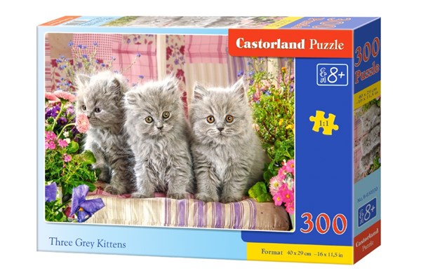 Castorland (B-030330) - "Trois Chatons" - 300 pièces