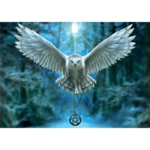 Educa (17959) - "Magie Eeillée" - 500 pièces