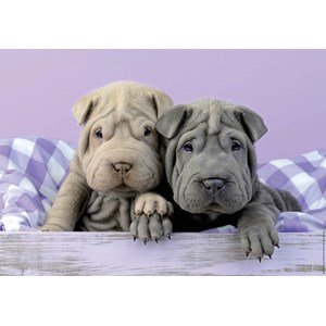 Educa (18063) - "Bonjour!" - 100 pièces