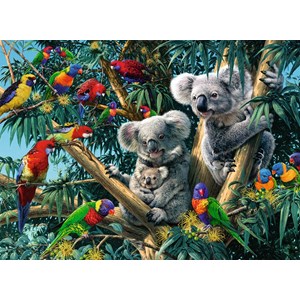 Ravensburger (14826) - "Koalas dans l'Arbre" - 500 pièces