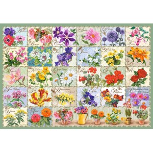 Castorland (C-104338) - "Vintage Floral" - 1000 pièces