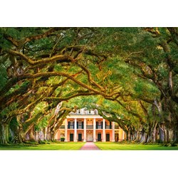 Castorland (C-104383) - "Oak Alley Plantation" - 1000 pièces