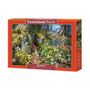 Castorland (C-200764) - "From Rusland Woods" - 2000 pièces