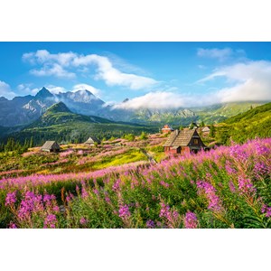 Castorland (C-104512) - "Hala Gasienicowa, Tatras, Poland" - 1000 pièces