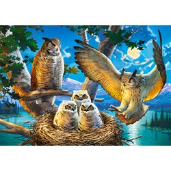 Castorland (B-53322) - "Owl Family" - 500 pièces
